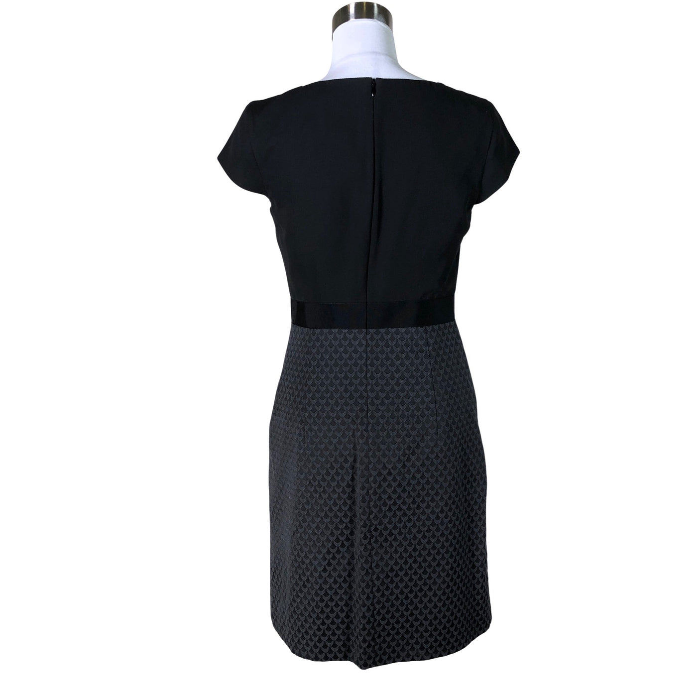 Unisex Comma - Kotelomekko, koko 36 - (2)