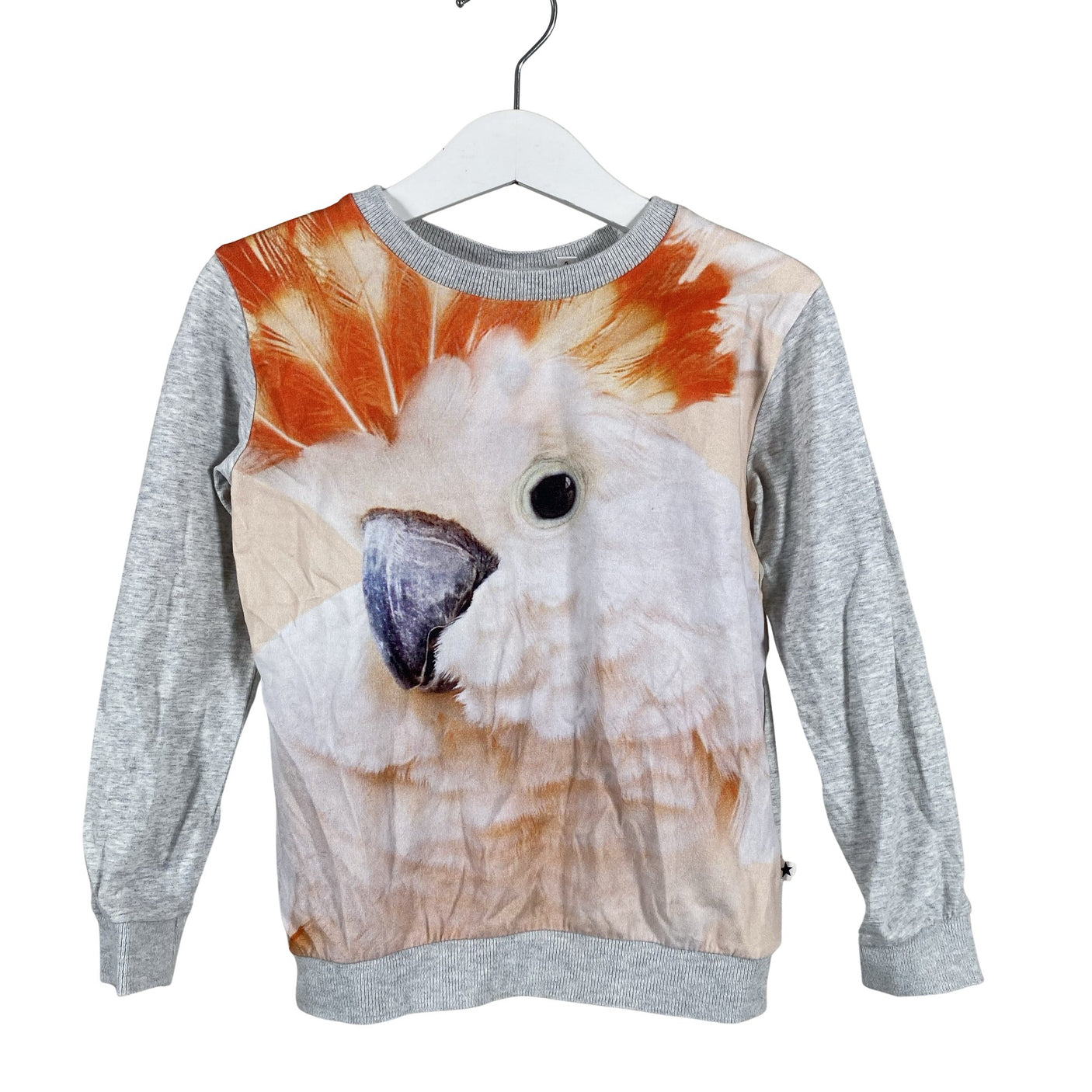 Unisex Molo Kids - Tricot shirt, size 104 - 110 - Gray (1)