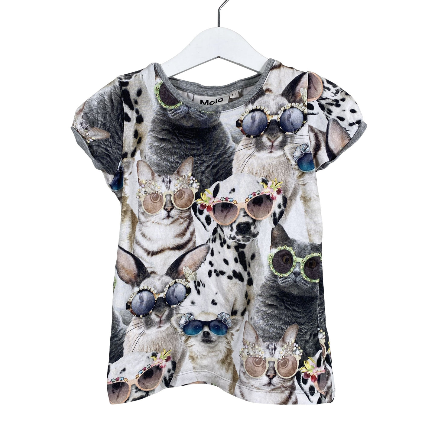 Unisex Molo Kids - T-shirt, size 110 - 116 - Gray (1)