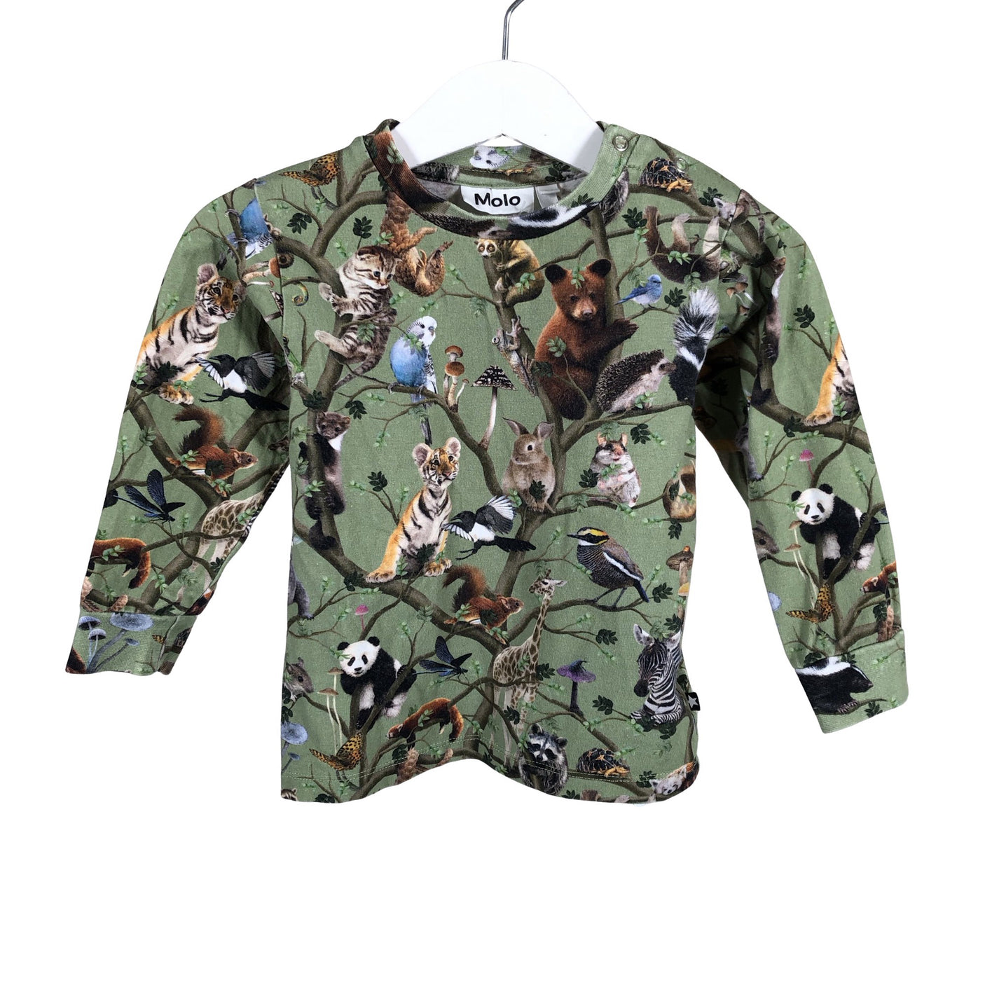 Unisex Molo Kids - Tricot shirt, size 80 - 86 - Green (1)