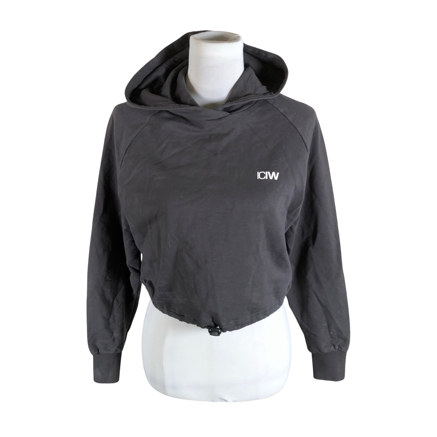 Unisex ICIW – Icaniwill - Hoodie, size 36 - Gray (1)