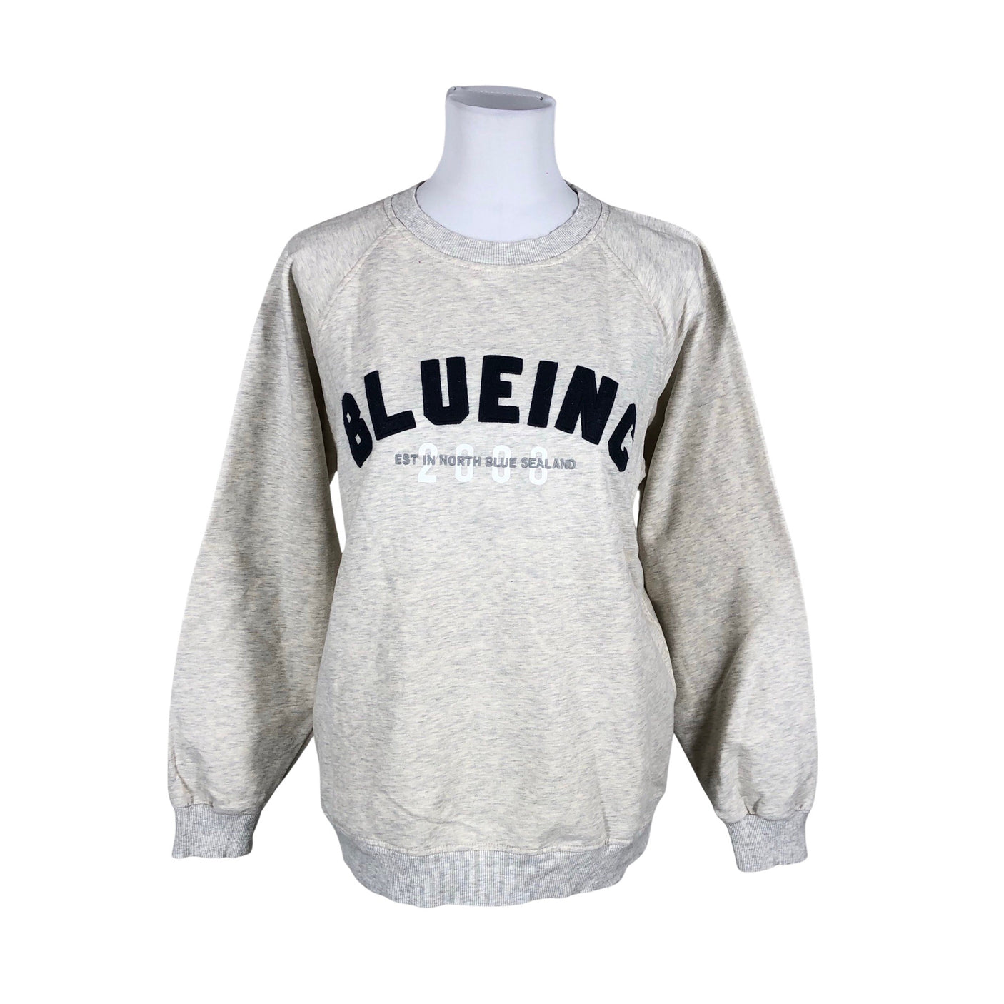 Unisex Blue Sportswear - Sweatshirt, size 36 - Gray (1)