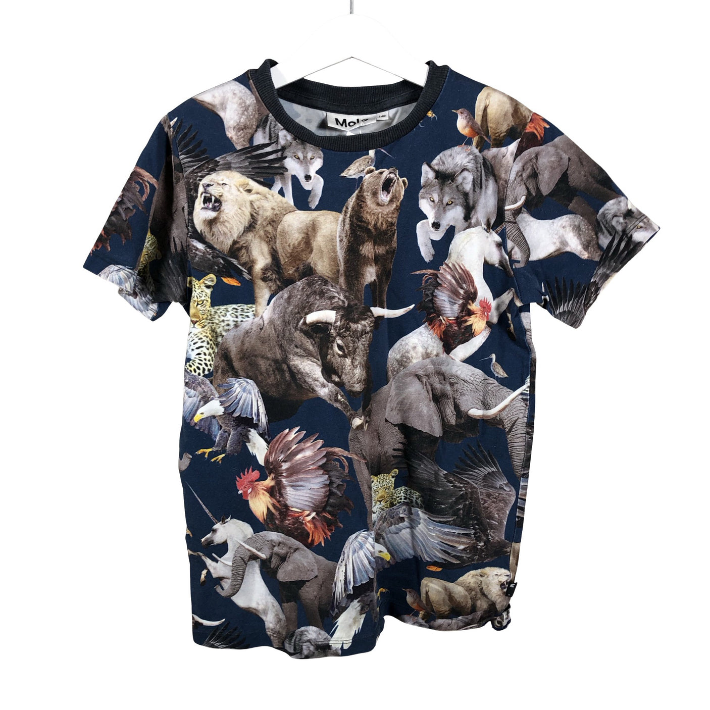 Unisex Molo Kids - T-shirt, size 134 - 140 - Blue (1)