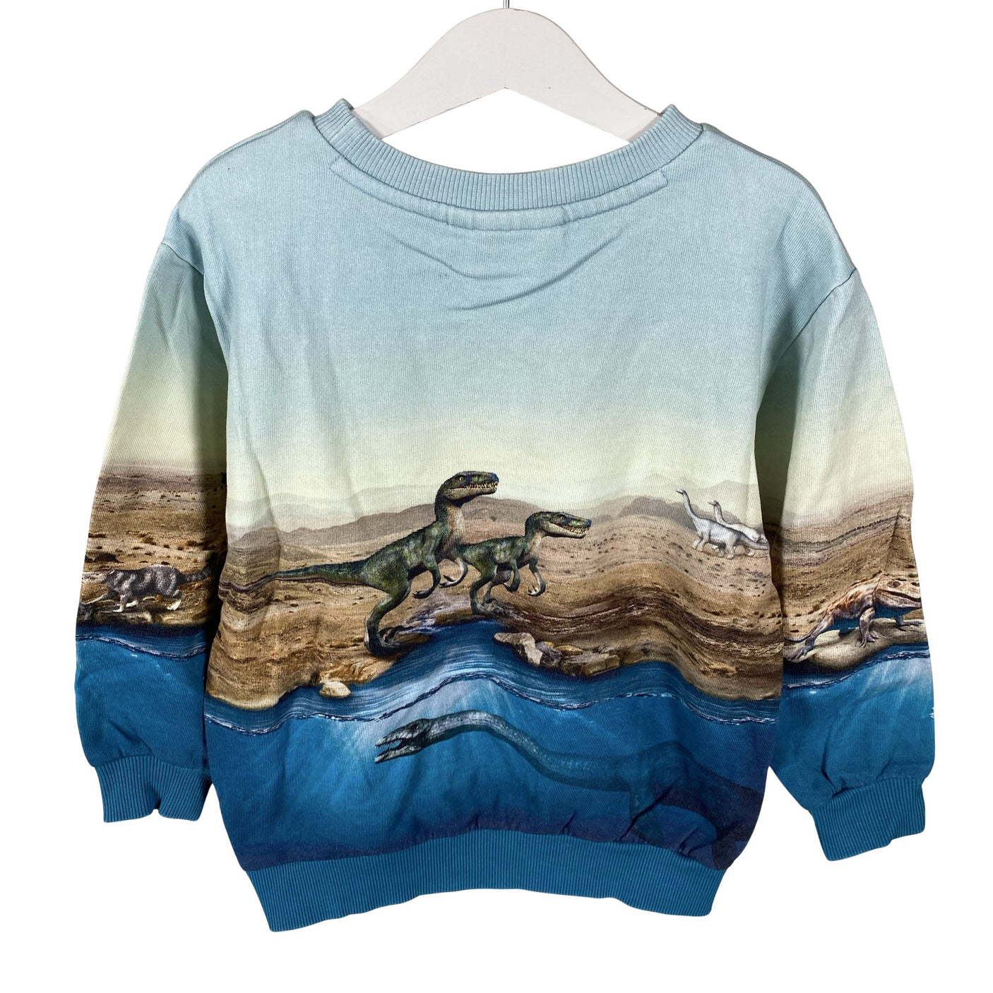 Unisex Molo Kids - Sweatshirt, size 104 - 110 - Light blue (2)