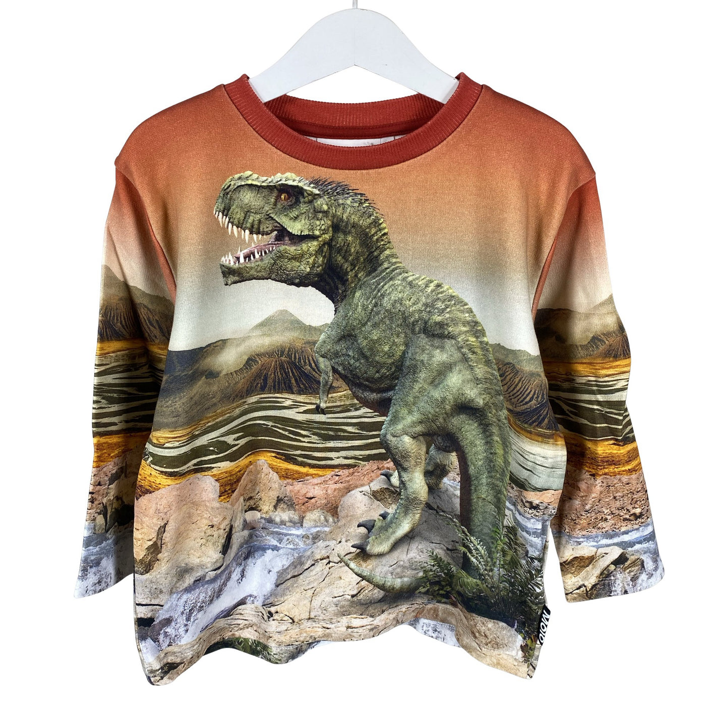 Unisex Molo Kids - Sweatshirt, size 104 - 110 - Orange (1)