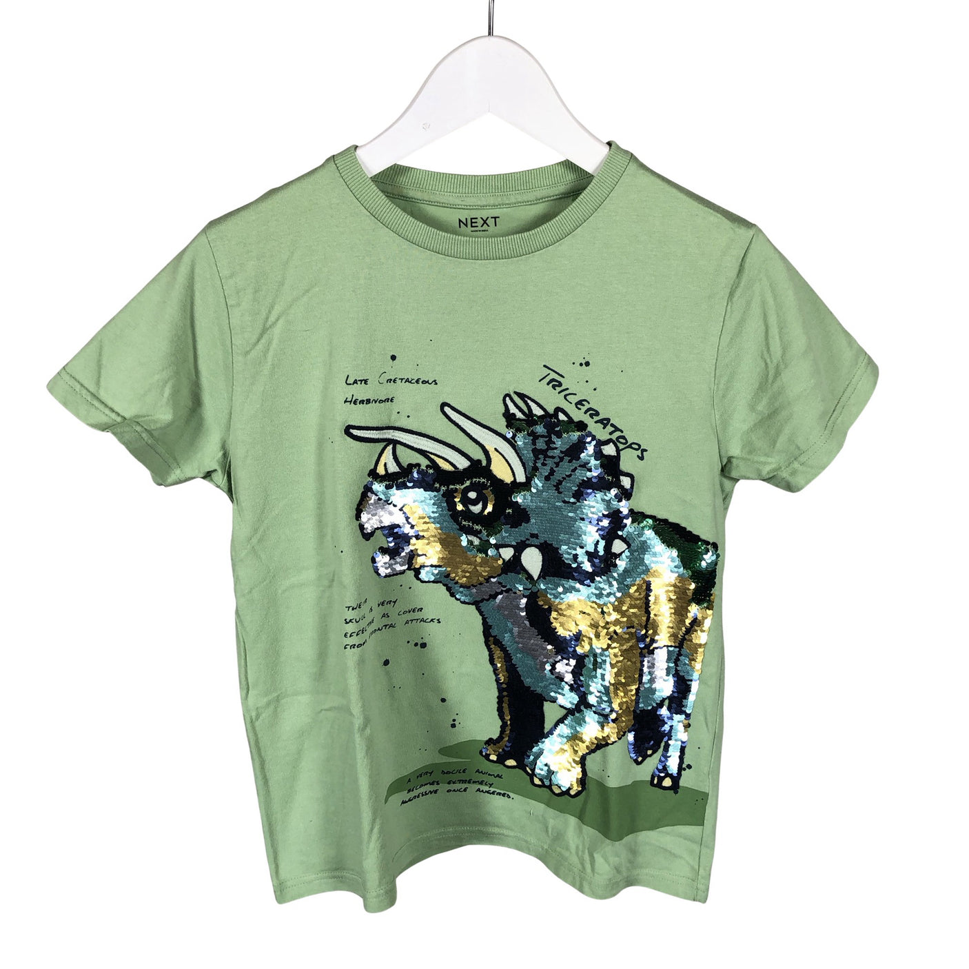 Unisex Next - T-shirt, size 140 - 146 - Green (1)