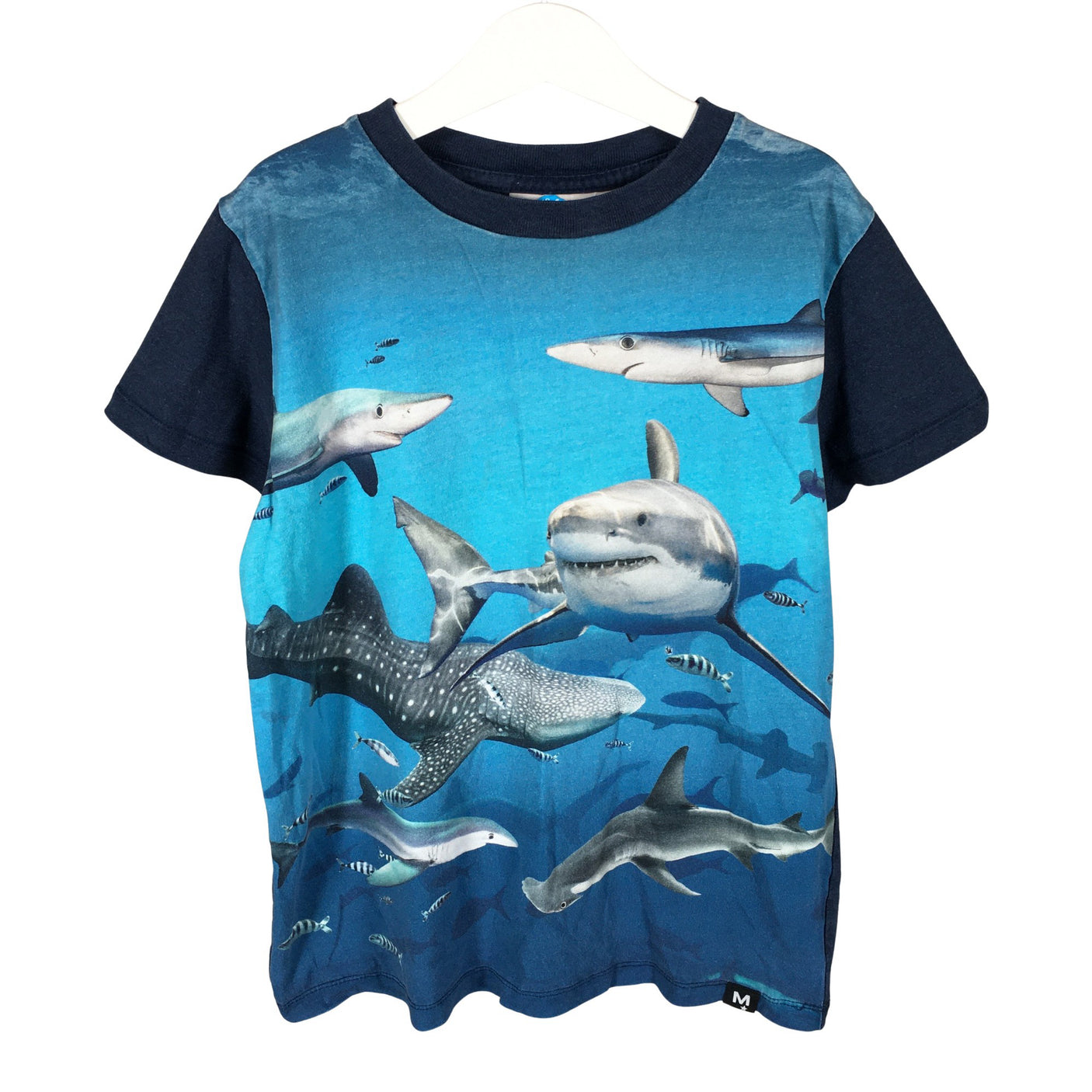Unisex Molo Kids - T-shirt, size 134 - 140 - Blue (1)