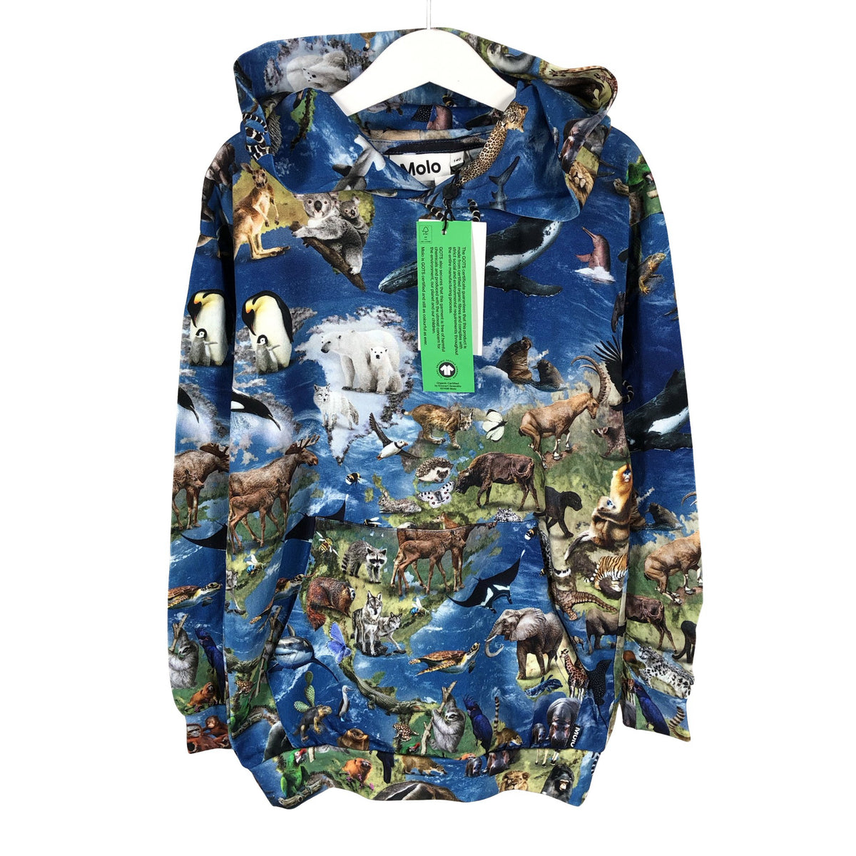 Unisex Molo Kids - Hoodie, size 134 - 140 - Blue (1)