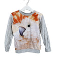 Unisex Molo Kids - Tricot shirt, size 104 - 110 - Gray ()