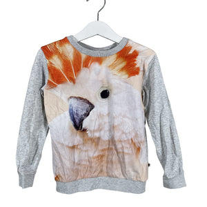 Unisex Molo Kids - Tricot shirt, size 104 - 110 - Gray (1)