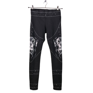 Unisex Waldogs - Urheilutrikoot, koko 38 -  (1)
