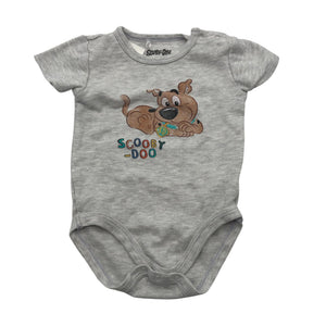 Unisex Cool Club - Body, size 74 - 80 - Gray (1)