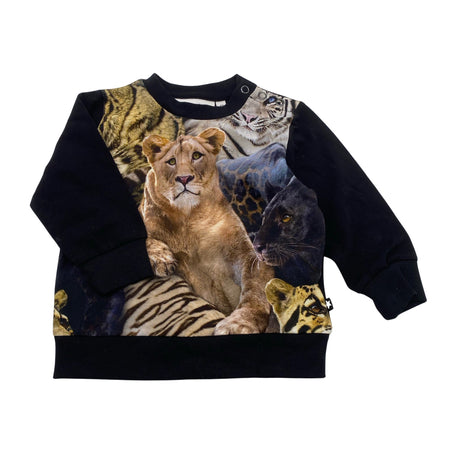 Unisex Molo Kids - Tricot shirt, size 62 - 68 - Black ()