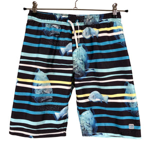 Unisex Reima - Swim trunks, size 158 - 164 - Blue (1)