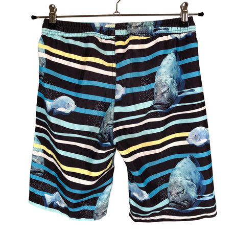 Unisex Reima - Swim trunks, size 158 - 164 - Blue (2)