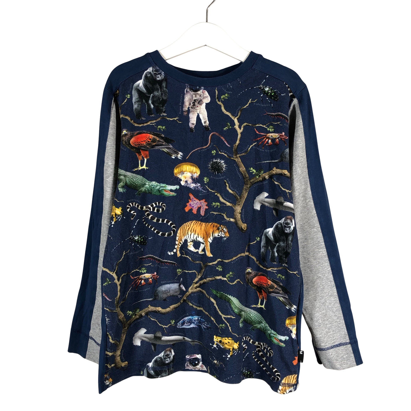 Unisex Molo Kids - Tricot shirt, size 134 - 140 - Blue (1)