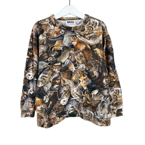 Unisex Molo Kids - Tricot shirt, size 116 - 122 - Brown (1)