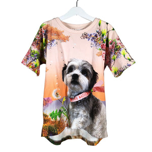 Unisex Molo Kids - T-shirt, size 146 - 152 - Light pink (1)