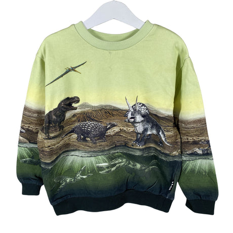 Unisex Molo Kids - Sweatshirt, size 116 - 122 - Green ()