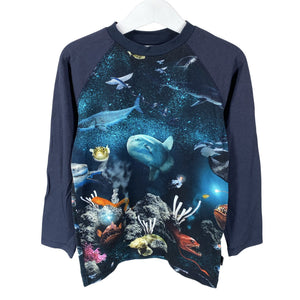 Unisex Molo Kids - Tricot shirt, size 110 - 116 - Blue (1)