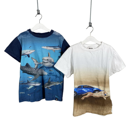 Unisex Molo Kids - T-shirt, size 146 - 152 - Blue ()