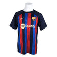 Unisex Nike - Sports shirt, short sleeve, size XL - Blue ()