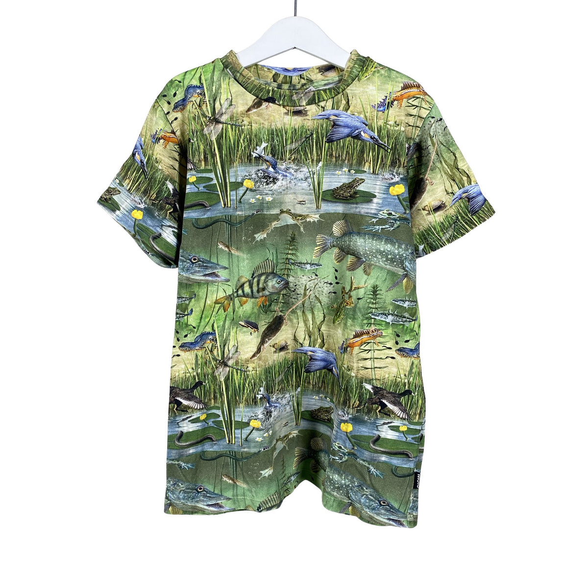 Unisex Molo Kids - T-shirt, size 146 - 152 - Green (1)