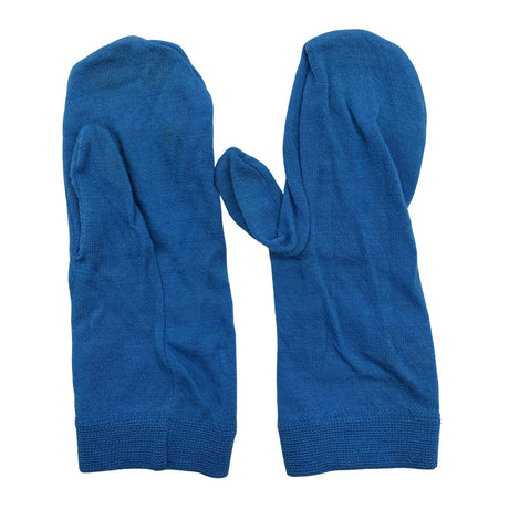 Unisex Reima - Mittens, size 4 - 5 vuotta - Blue ()