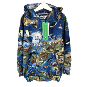 Unisex Molo Kids - Hoodie, size 134 - 140 - Blue (1)