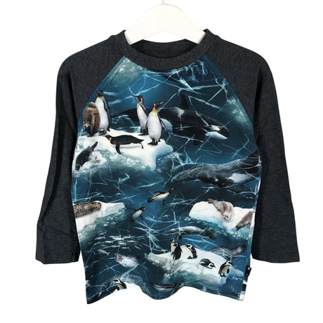 Unisex Molo Kids - Tricot shirt, size 98 - 104 - Gray ()