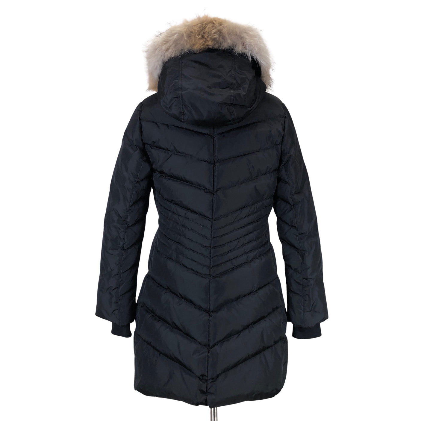 Untuvatakki, koko 38